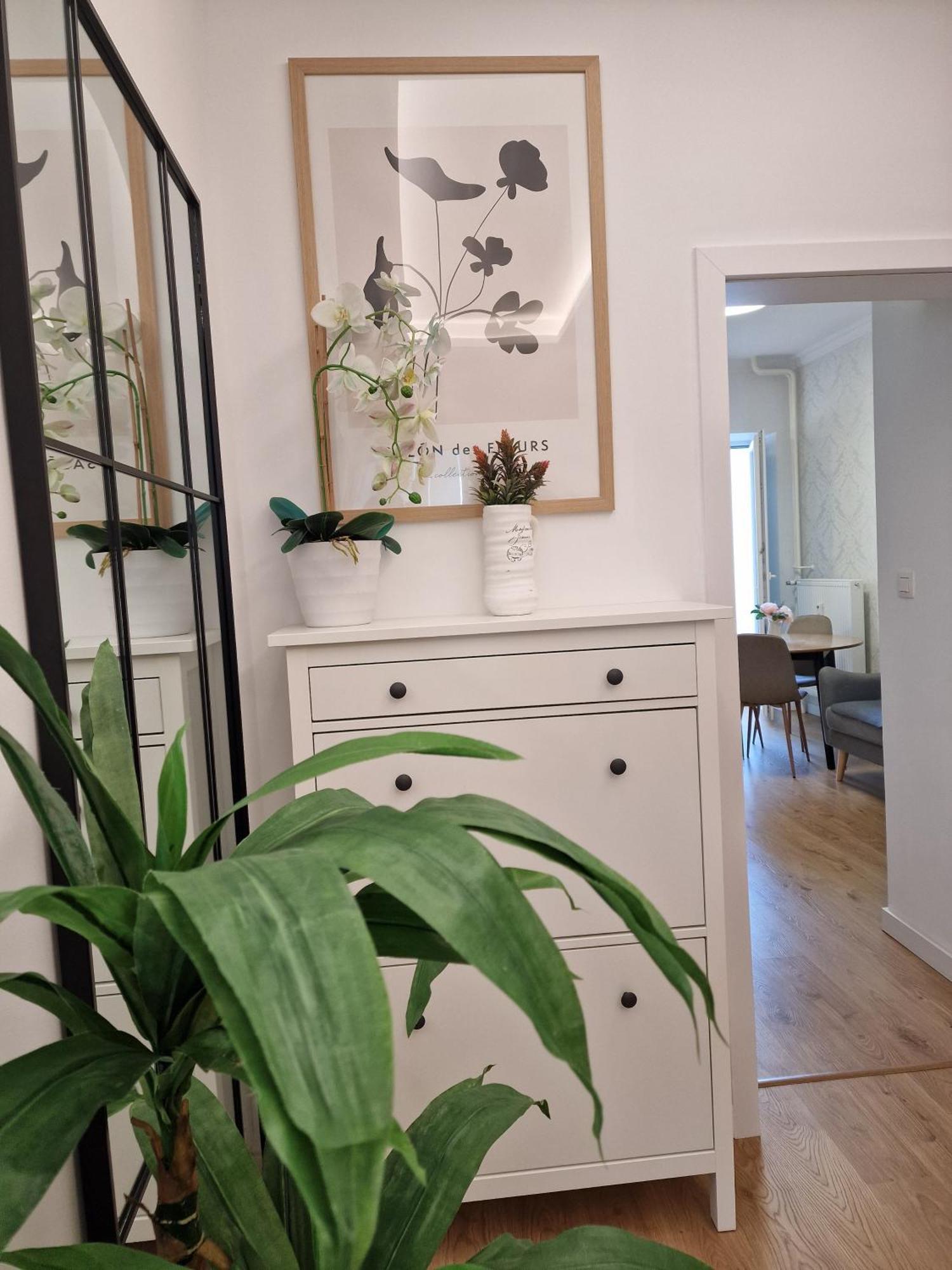Old Town Apartment - 2 Bedrooms Bratislava Extérieur photo